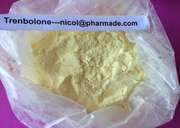 Trenbolone Base Anabolic Steroids Yellow Powder CAS 10161-33-8